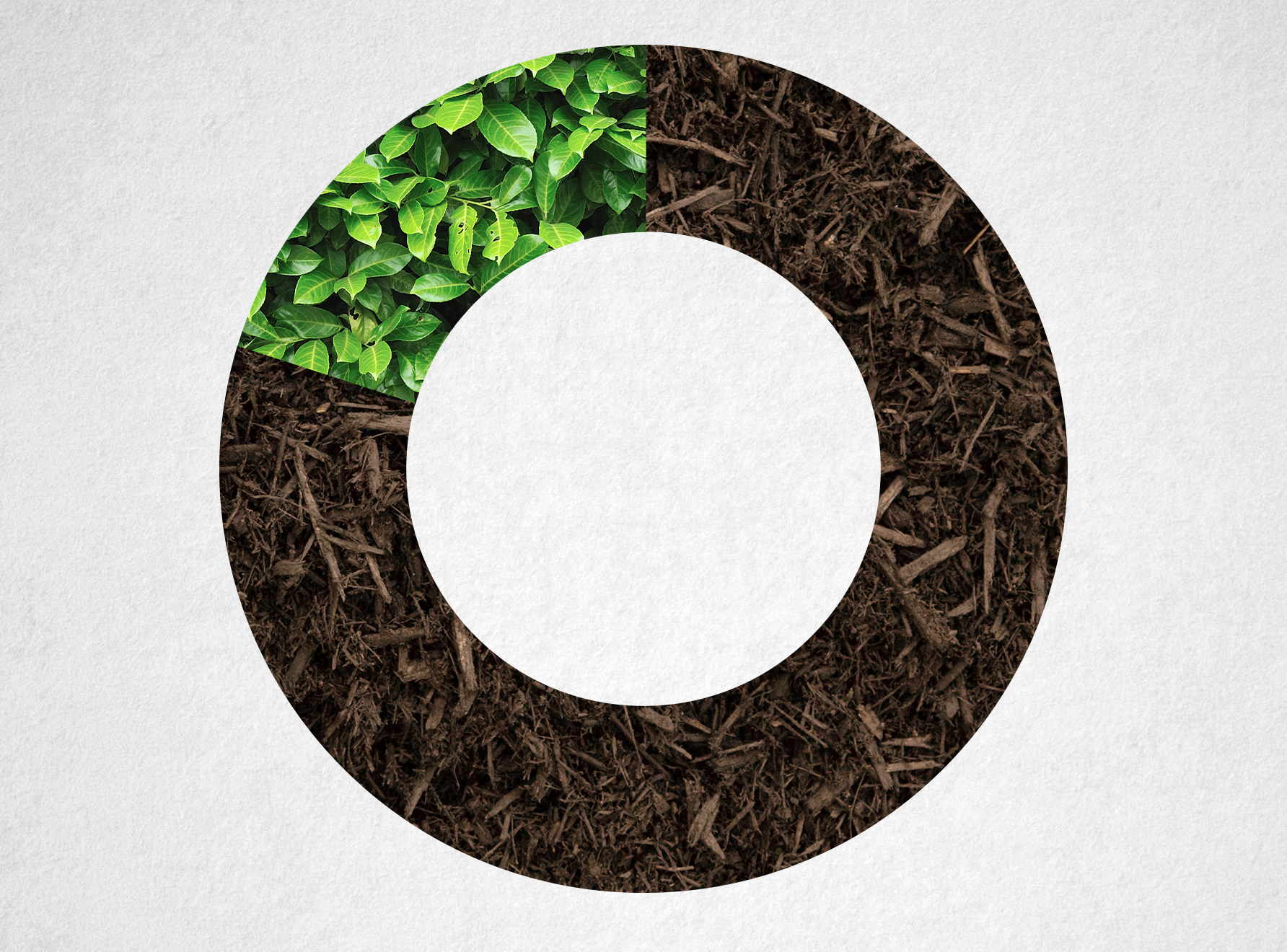 Saving Food, Fighting Food Waste Promo Image