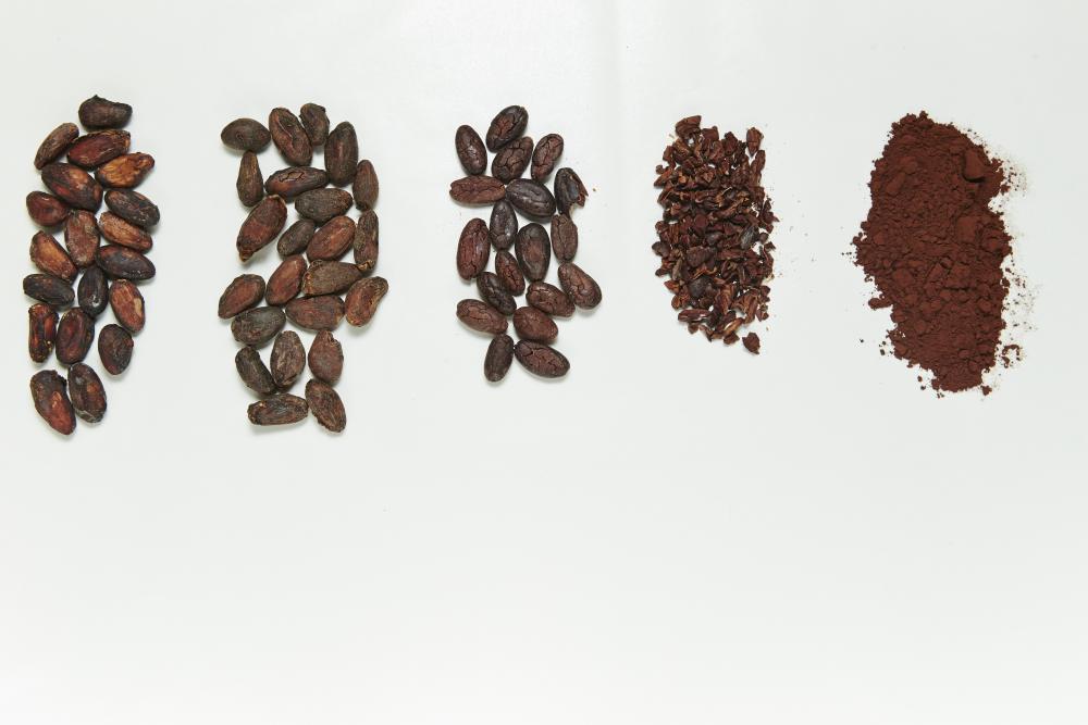 chocolate