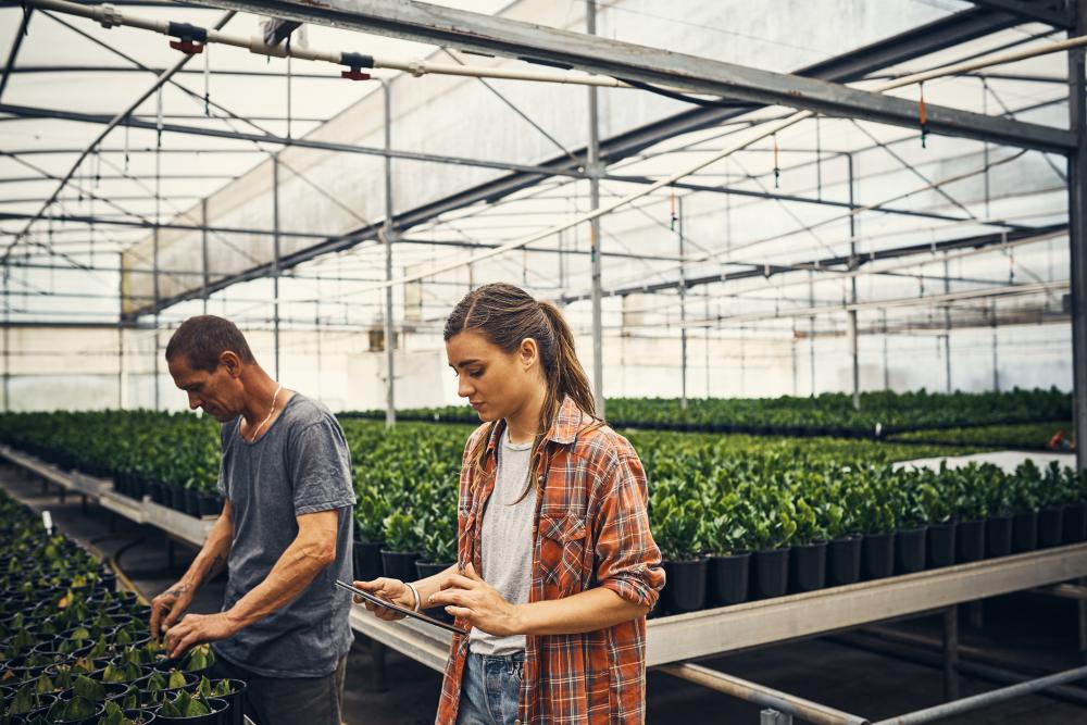 researchers in green house