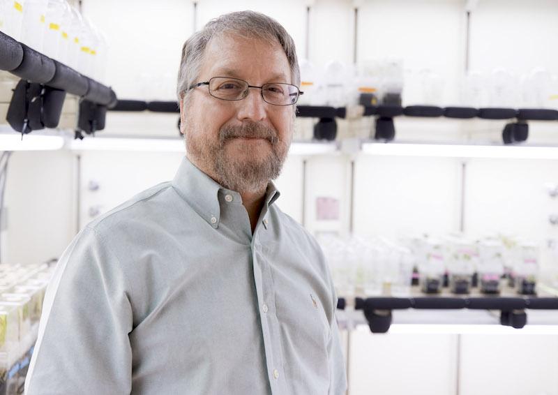 Dr. Wayne Parrott, Professor at University of Georgia