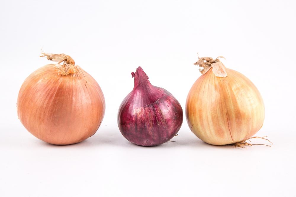 Variety of onions on white background