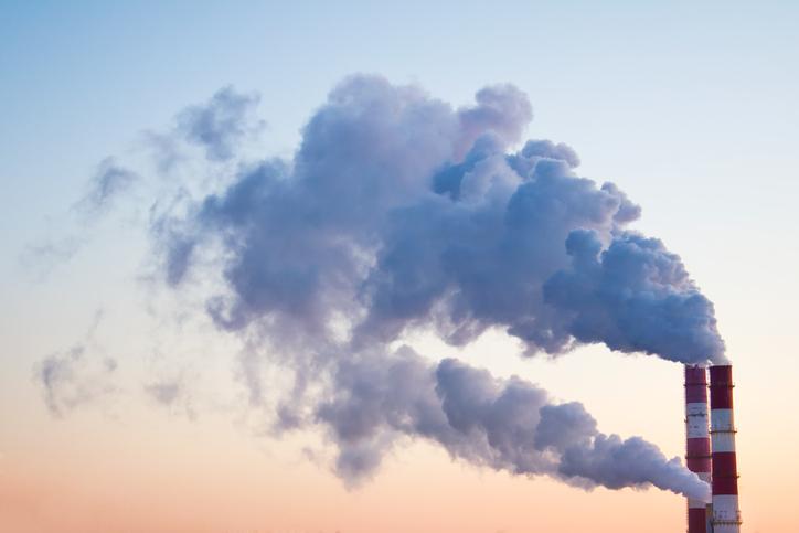 Gene editing has the potential to help decrease greenhouse gas emissions and remove excess carbon from the atmosphere.