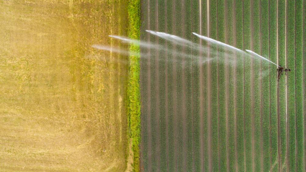 Crops being watered