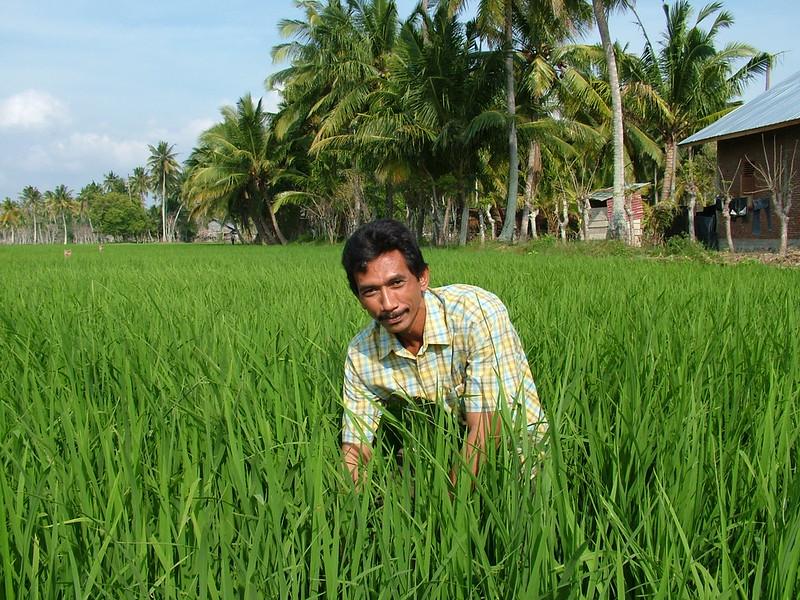 Indonesian Rice Farmer USAID climate change 