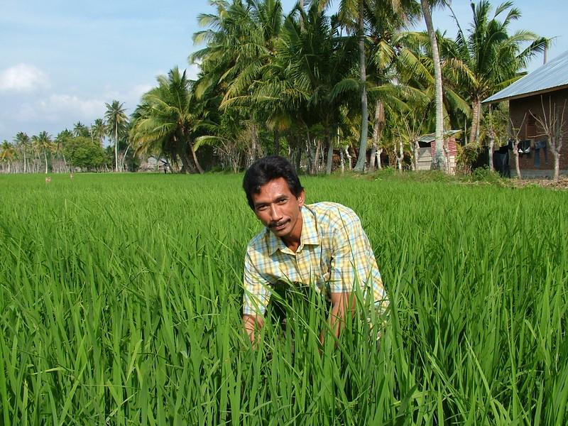 Indonesian Rice Farmer USAID climate change
