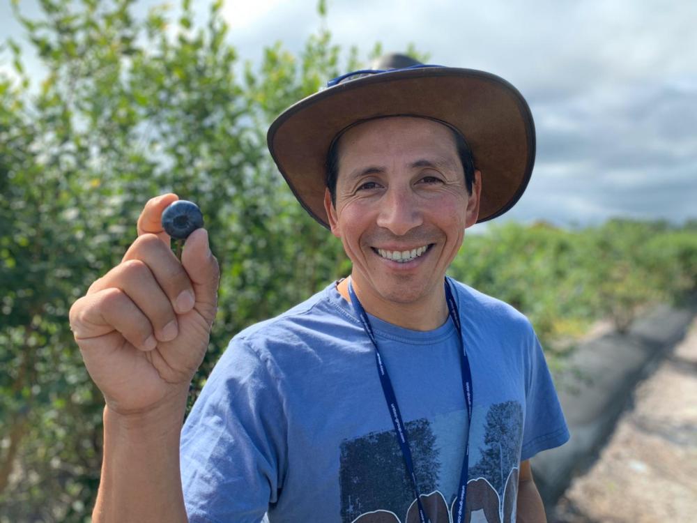 a smiling man wearing a hat holds a blueberry while standing in front of tall grass
