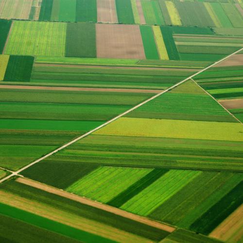 farm field